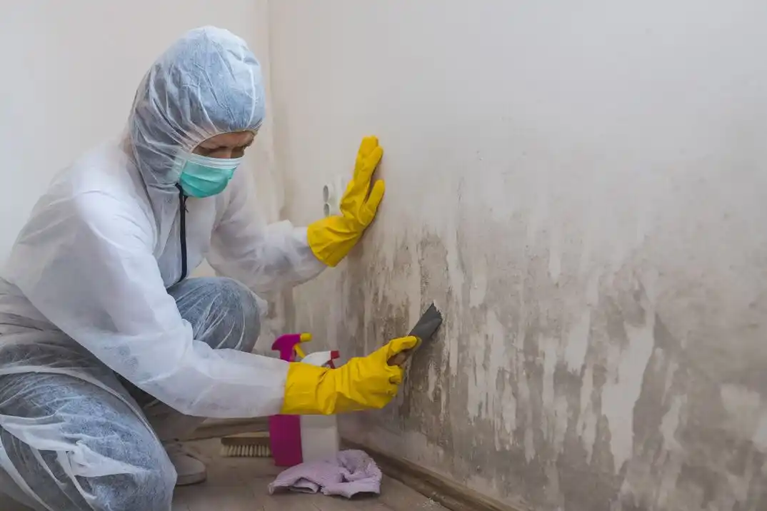 water damage restoration service South Salt Creek